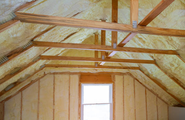Best Insulation Removal Services  in Clark, SD